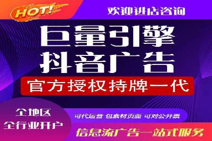 落地页在SEM优化中的重要性及成功案例